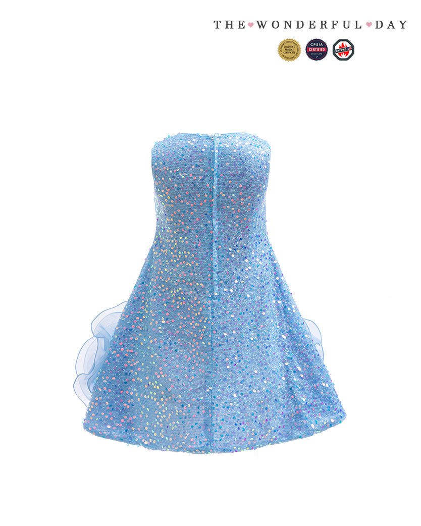 Luxury Sleeveless Sequin 3D Rose Organza Mini Dress