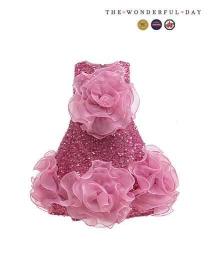 Luxury Sleeveless Sequin 3D Rose Organza Mini Dress