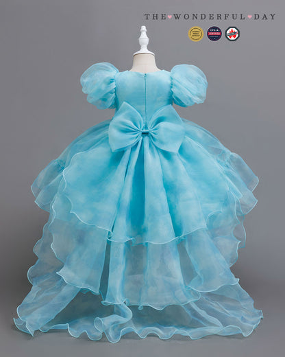 Girls Bubble Sleeve 3D Flower Hi-Low Organza Tutu Dress