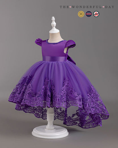 Elegant Girls Short Sleeve Lace High-Low Tulle Princess Dress