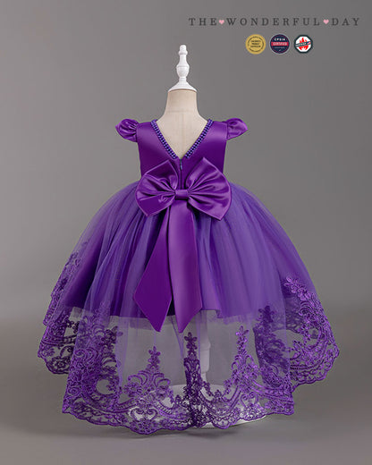 Elegant Girls Short Sleeve Lace High-Low Tulle Princess Dress